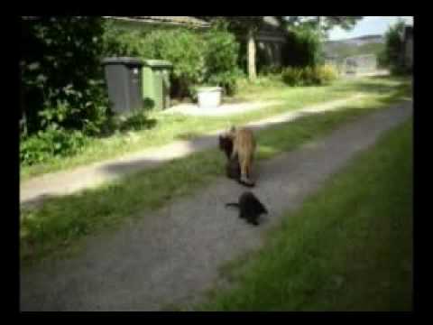 Op een mooië Pinksterdag