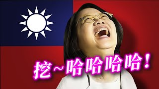 [閒聊] 這次選舉 世界看到了台灣支持不賣台的人
