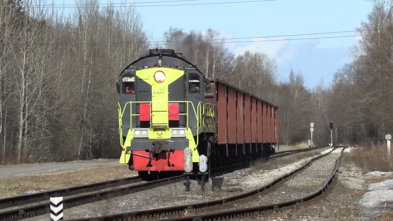 Тепловоз ТЭМ2-6080 на ст. Сытке / TEM2-6080 at Sõtke station