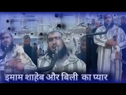 Cat And Immam Shaheb Viral Video | Puri Sahai | 786INDIAOFFICAL