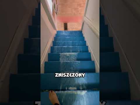 Źle pomalowała schody 😤 (@renee.clark18)