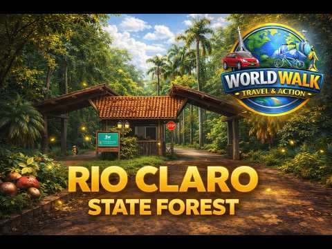 Big State Forest FEENA | Rio Claro-SP | Brazil (Driving and Walking)