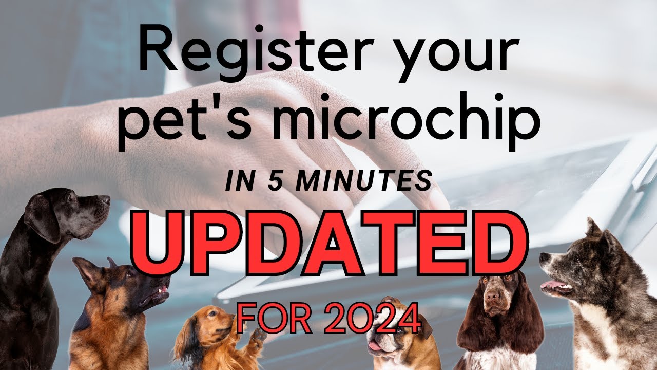 How to register your pet's microchip in 5 minutes
