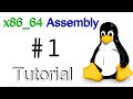 X86 64 Linux Assembly 1 Hello World