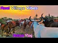 Gaon Ki Asli Zindagi Real Village Vibes My First Vlog Vlog Village