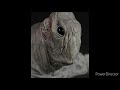 Chance Greene S Cloverfield 2008 Cloverfield Roar 1
