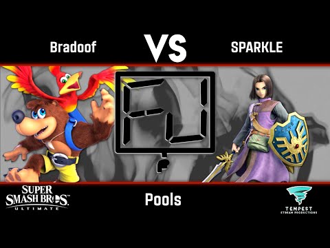 Bradoof (Banjo) vs SPARKLE (Hero) - Pools - FINAL JUDGMENT