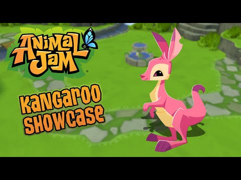 Animal Jam - Animal Showcase: Kangaroo - YouTube