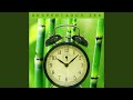 Reloj de Alarma Instrumental