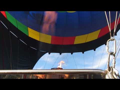 Baliono krepšyje 2021-08-29