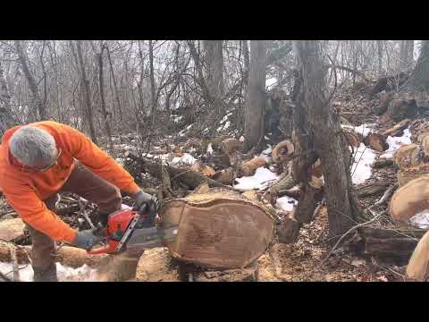 Husqvarna 592XP first cuts!!