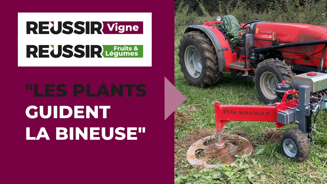 Bineuse Ferotin à disques : 