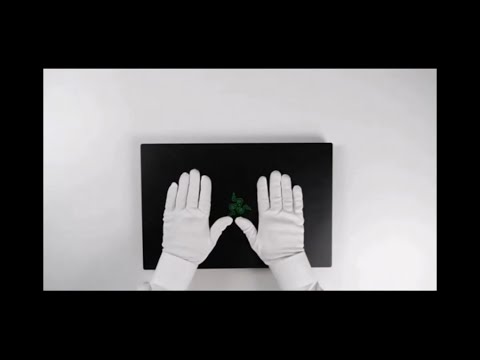 Razer Blade Pro 2021 Unboxing - Nvidia GeForce RTX 3080 Gaming Laptop!