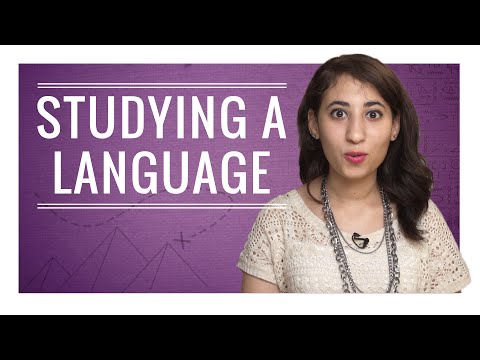 Weekly Egyptian Arabic Words with Peryhan - Studying a Language