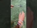 Water Jiggly Slime DIY ASMR