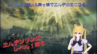 レベル１でエルデンリング攻略を目指す！！#9【V生配信】
