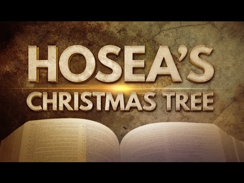 Hosea's Christmas Tree - 119 Ministries thumbnail