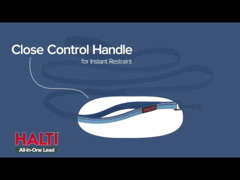 Миниатюра изображения товара Поводок Halti Active Lead 63224/COA (черный)