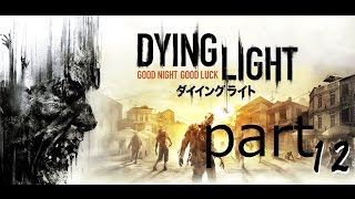 ちょっと遅れたダイイングライト part12 【あつぽん視点】