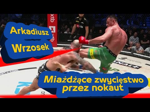 Arkadiusz Wrzosek returns in style | KSW 114 full fight analysis.