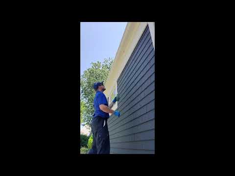 Wasp Nest Removal in Rumson, NJ