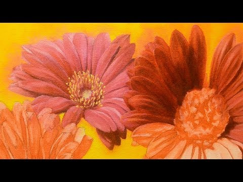 download lagu mp3 mp4 Gerbera Daisy Pink, download lagu Gerbera Daisy Pink gratis, unduh video klip Gerbera Daisy Pink
