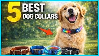 ✅ Top 5 Best Dog Collars for Comfort and Durability in 2026