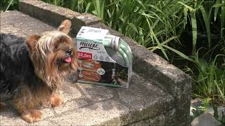 welcher Gartenschlauch ist der beste? wir haben ihn für uns gefunden