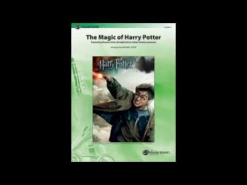 The Magic Of Harry Potter by Michael Story