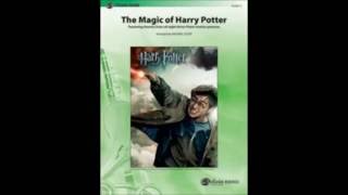 The Magic Of Harry Potter by Michael Story