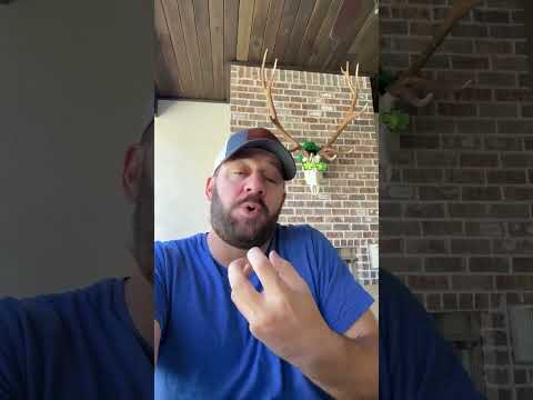 Here We Go Again… #shortsfeed #langley Thumbnail