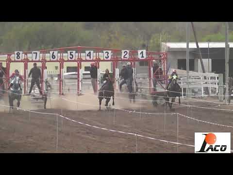 MADRUGADA HIPODROMO DON SOHAR CRUZ DEL EJE 28 08 2022