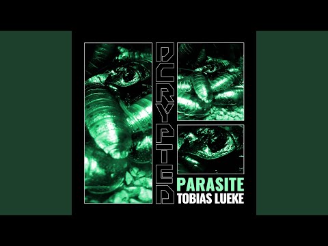 Turbulence (Original Mix)