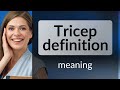Tricep Definition Unraveling The Meaning