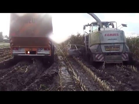 Loonwerken Verduyn Mais Hakselen op rupsbanden