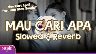 Download lagu Duo Biduan - Mau Cari Apa (Slowed & Reverb) mp3