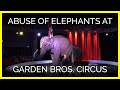 Abuse Of Elephants At Garden Bros Circus