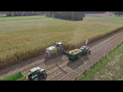 MAISERNTE 2019| Deutz D10006 | DX 3.65  | Claas Jaguar 950