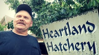 Heartland Hatchery