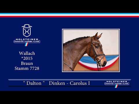 Holsteiner Frühjahrsauktion 2019 | Nr. 124 - Dalton v. Dinken - Carolus I