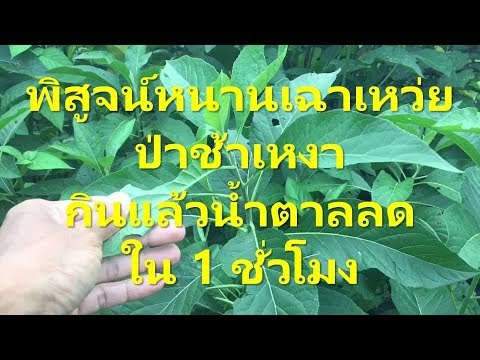 ความแข็งแรงวิตามินบี ฉันเลิกดื่มแรงลดลง