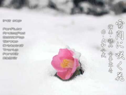 YamatoReiv - Flower beyond snow / 大和令武 - 雪間に咲く花