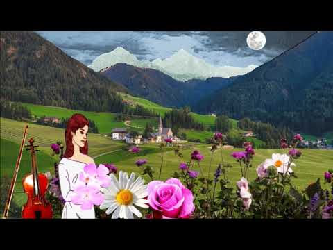 Một nửa tâm hồn - Nguyên Khang