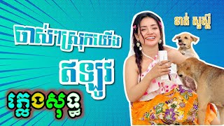 ចាស់ៗស្រុកយើងឥឡូវ ភ្លេងសុទ្ធ លេងថ្មី, ចាស់ៗស្រុកយើងឥលូវ karaoke plengsot, Bluetooth KTV តាមផ្ទះ.