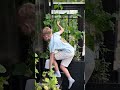 Redskabsrum/drivhus - 6,6 m² - ubehandlet - 18001 DETAIL89831