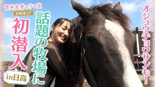 「ステイゴールド感が…」障害の絶対王者の素顔は…！？アドマイヤジャパンの”ファンサ”にゆっかー&岡安アナ大興奮！タニノギムレットやワンダーアキュートも登場＜菅井友香のウマ友になってくれませんか？＞