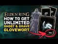 Elden Ring | How to Get UNLIMITED Ghost & Grave Glovewort for Spirit Summon Upgrades!