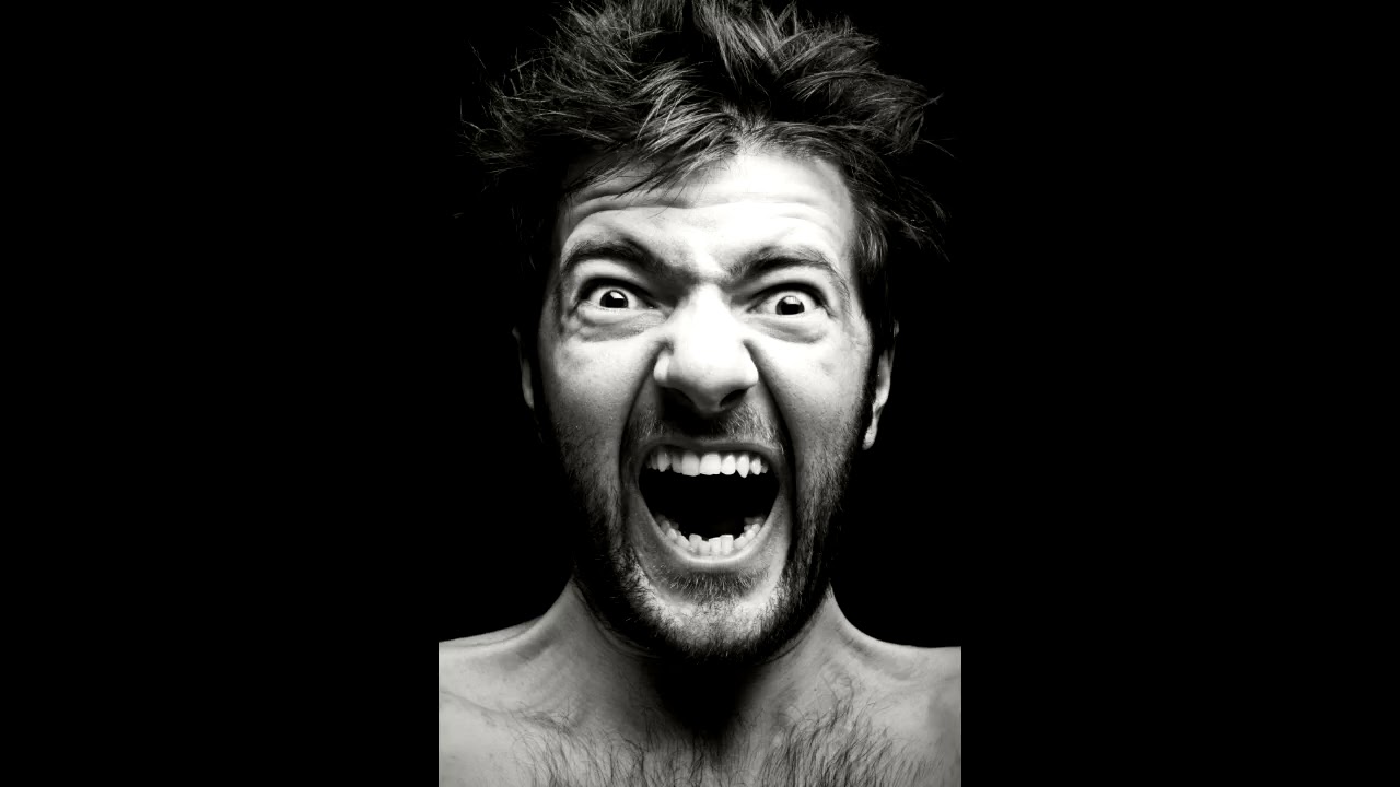 Electronic Harassment jammer Woodpecker-Signal