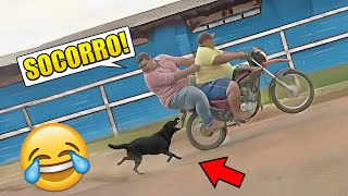 TENTE NÃO RIR: MELHOR COMPILAÇÃO DE VÍDEOS ENGRAÇADOS + MEMES 2