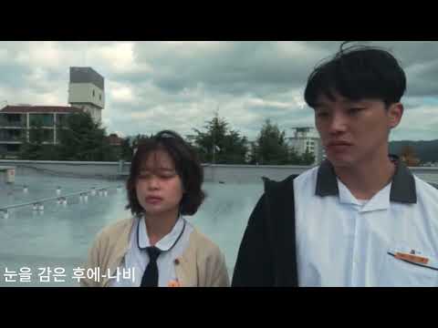 비디오 21